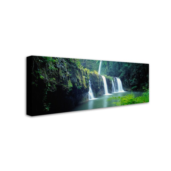 David Evans 'Nandroya Falls-Queensland' Canvas Art,16x47